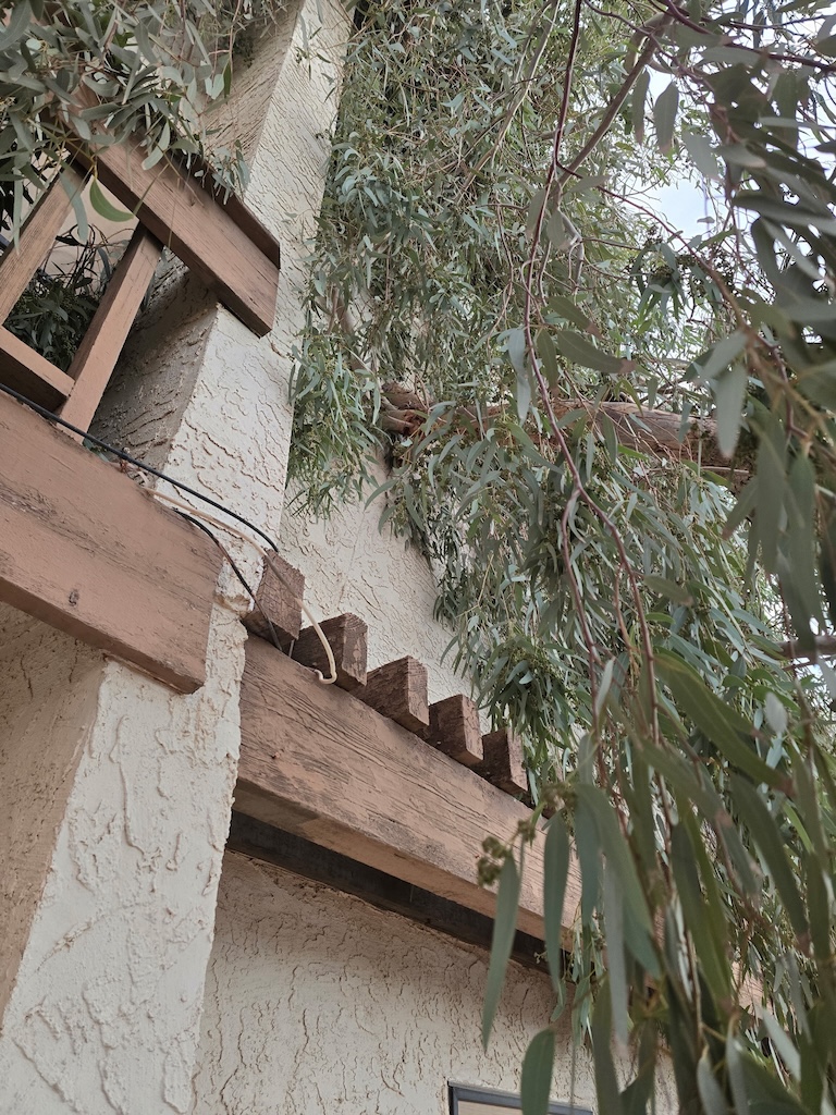 Large storm-damaged tree limb near a home